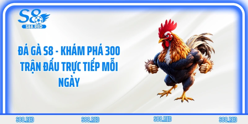Đá Gà S8 - Khám Phá 300 Trận Đấu Trực Tiếp Mỗi Ngày