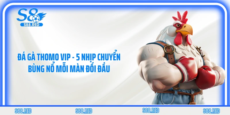 Đá Gà Thomo VIP - 5 Nhịp Chuyển Bùng Nổ Mỗi Màn Đối Đầu