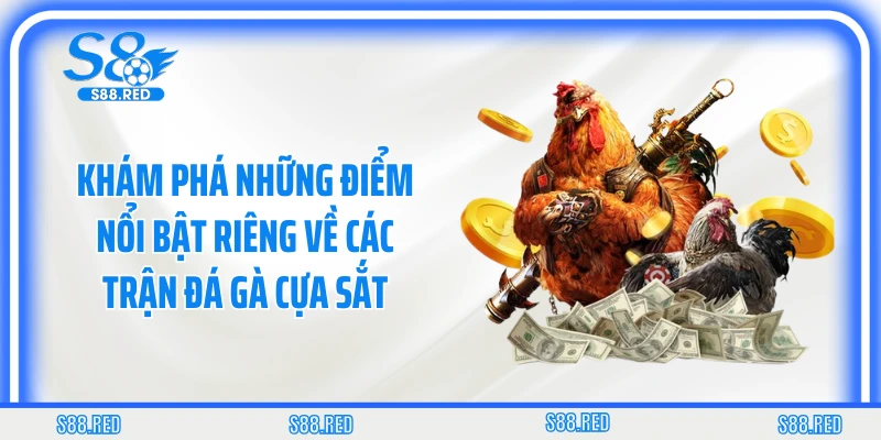Khám phá những điểm nổi bật riêng về các trận đá gà cựa sắt