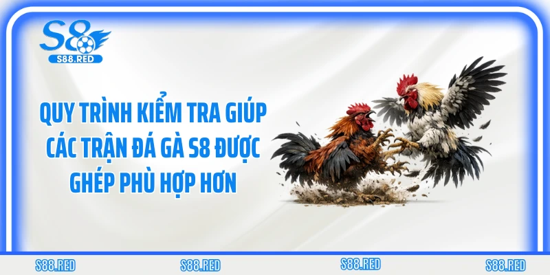 Quy trình kiểm tra giúp các trận đá gà S8 được ghép phù hợp hơn